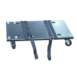 Платформа CNB RS100