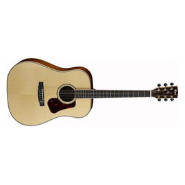 Акустическая гитара Cort EARTH CUSTOM M (NAT)