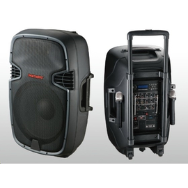 Активная акустическая система NGS PP-2115AUS-CB