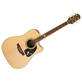 Электроакустическая гитара TAKAMINE EG50th 5550130821