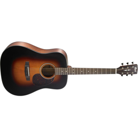 Акустическая гитара CORT EARTH 300V (SB)