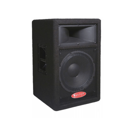 Акустическая система KUSTOM EF12