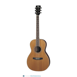 Акустическая гитара Aria AP-STD