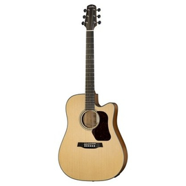 Акустическая гитара Walden D550/G
