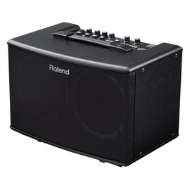 Комбоусилитель для акустической гитары Roland AC40