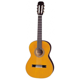 Классическая гитара Aria CGP-001 N