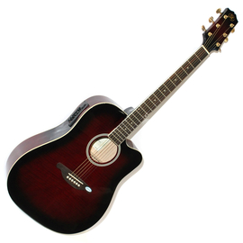 Акустическая гитара SX DG28CE/WRS