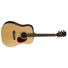 Акустическая гитара CORT Earth100RW NAT