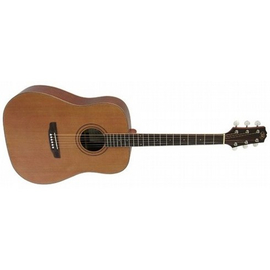 Акустическая гитара SX DG30R+