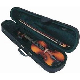 Кейс для скрипки STRUNAL case