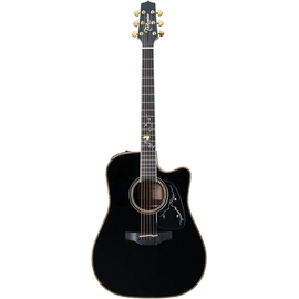Электроакустическая гитара TAKAMINE LTD2012 MICHI