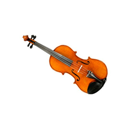 Альт GLIGA Viola13"Gliga I