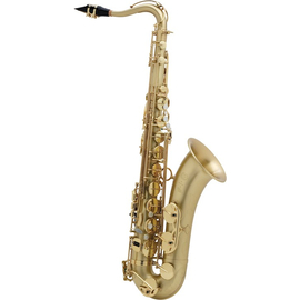 Саксофон SELMER SA 80 II ТB