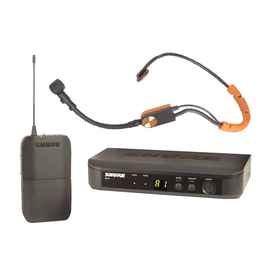 Радиосистема BLX14ESM31