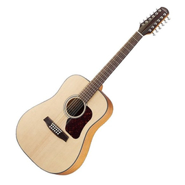 12-струнная акустическая гитара WALDEN D552