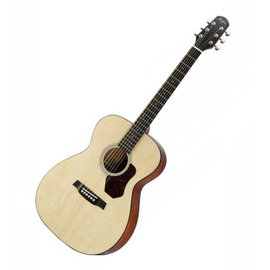Акустическая гитара WALDEN HO420/PK