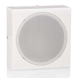 Акустическая система AMC EVACW 5