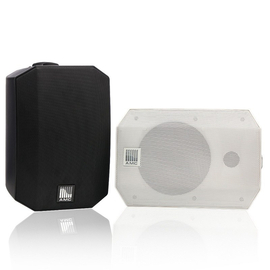 Настенная акустическая система AMC VIVA 5W