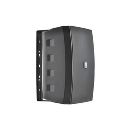 Настенная акустическая система AMC VIVA 8 Black (RAL9017)