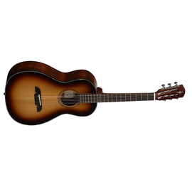 Акустическая гитара ALVAREZ APA1965