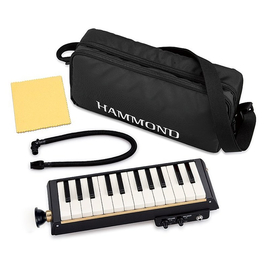 Басовый мелодион Hammond B-24H