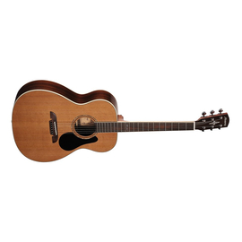 Акустическая гитара ALVAREZ AF75