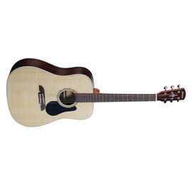 Акустическая гитара ALVAREZ RD27