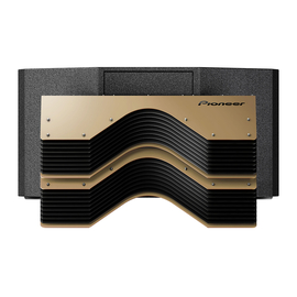 Акустическая система Pioneer WAV-LENS-E (первая часть звуковой линзы)