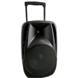 Портативная активная акустическая система SOUNDKING SKA10T