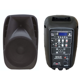 Активная акустическая система NGS PMQ08AH-BP-BT 8", 60-100Вт