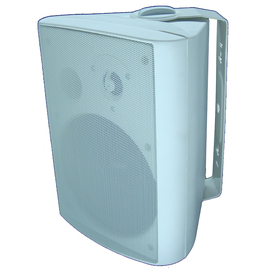 Акустическая двухполосная система Alex Audio HS-1110W