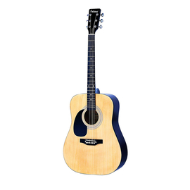 Акустическая гитара FALCON LFG100N