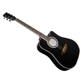 Акустическая гитара TREMBITA LEOTONE L-03/01