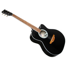 Акустическая гитара TREMBITA LEOTONE L-17/N