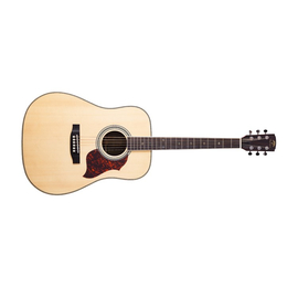 Акустическая гитара Virginia VD185S