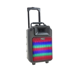 Портативная акустическая система IBIZA POWER8LED-MKII