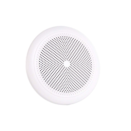 Акустическая система AMC WP 5  5"