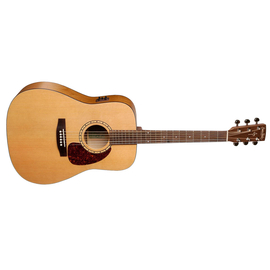 Электроакустическая гитара S&P 028962 - Woodland Cedar A3