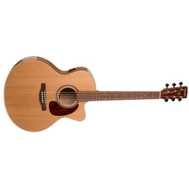 Электроакустическая гитара S&P 033751 - CW GT Mini Jumbo Cedar A3T with Bag