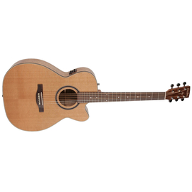 Электроакустическая гитара S&P 040469 - CW GT Concert Hall Cedar EQ with Bag