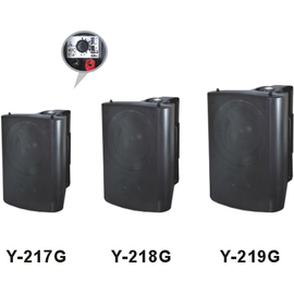 Настенная акустическая система Younasi Y-218G