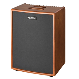 Комбоусилитель для электроакустических гитар Hughes & Kettner ERA 2