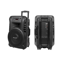 Активная акустическая система Azusa MIK0135 12"+1", 120Вт