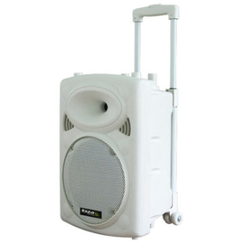 Активная акустическая система IBIZA PORT10VHF-BT-WH