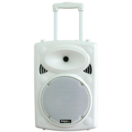 Портативная акустическая система IBIZA PORT10UHF-BT-WH