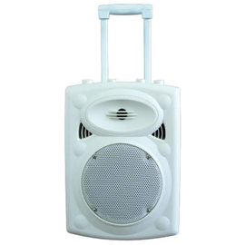 Портативная акустическая система IBIZA PORT8UHF-BT-WH