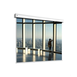 Экран Adeo Professional VisionAcoustik 233x130, формат экрана 16:9, ed.45см