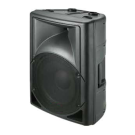 Акустическая система BIG PP0108, фото 