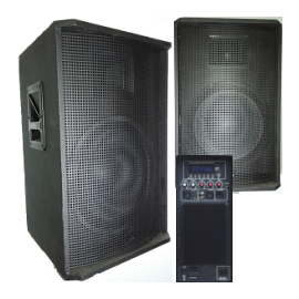 Активная акустическая система BIG TIREX550A USB/MP3/FM/BT+Passive output, фото 