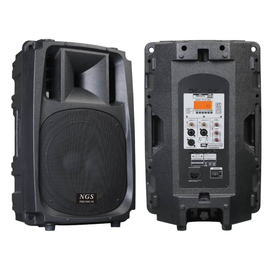 Активная акустическая система NGS Premium PA-R232RMP3 12", 350Вт